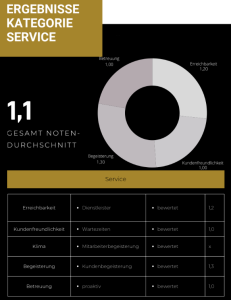 Ergebnisse Kategorie Service