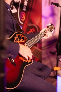 Musiker im Schloss Altenhof Musiker im Schloss Altenhof